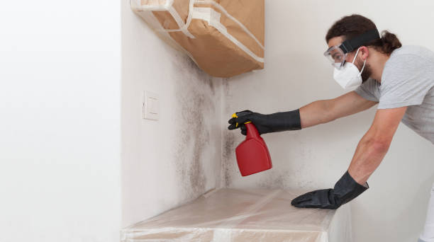 Professional Mold Testing technician working in Lawrence, NY