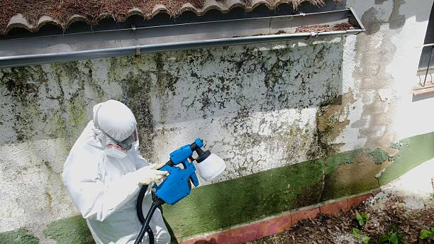 Trusted Commercial Mold Remediation service in Lawrence, NY - Cheap Mold Removal